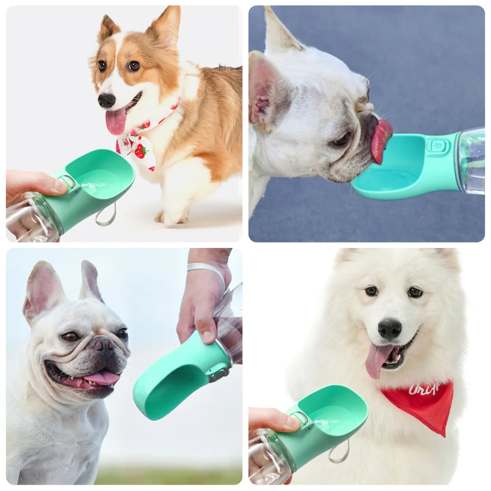 Pawfect Pet Water Bottle